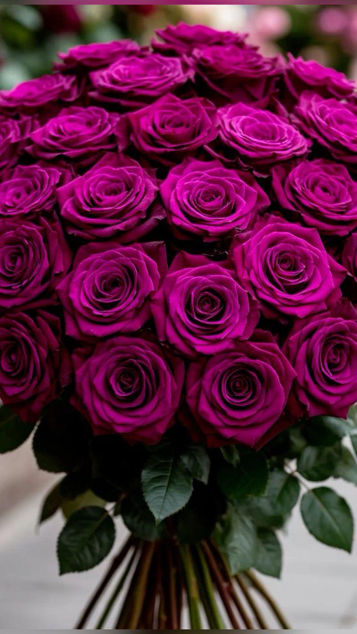 Moonlight Serenade: Nocturnal Blooms Enchantment